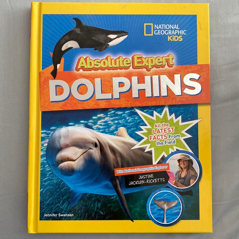 Absolute Expert: Dolphins