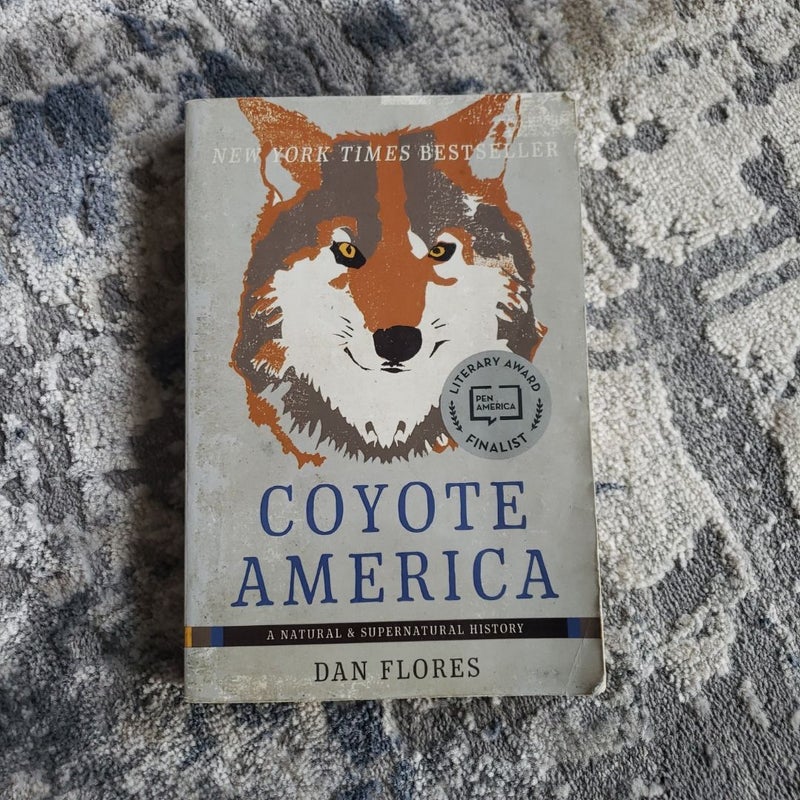 Coyote America