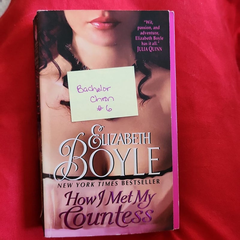 How I Met My Countess / Bachelor Chronicles #6