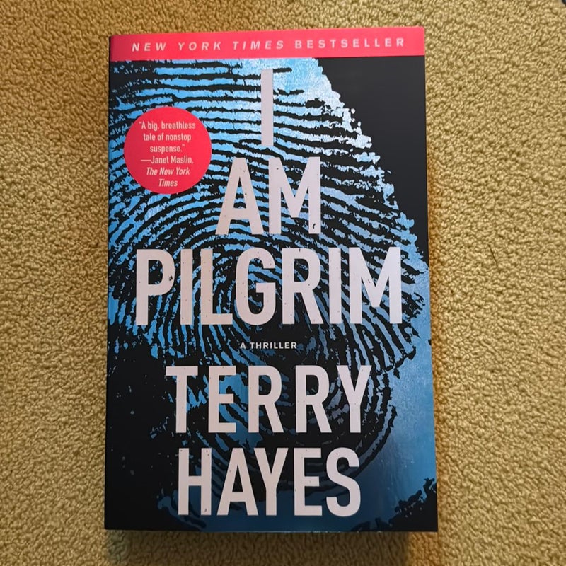 I Am Pilgrim