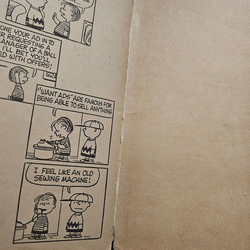 It's the Great Pumpkin, Charlie Brown (Bundle) 