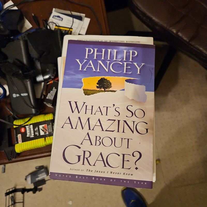 What's So Amazing about Grace?