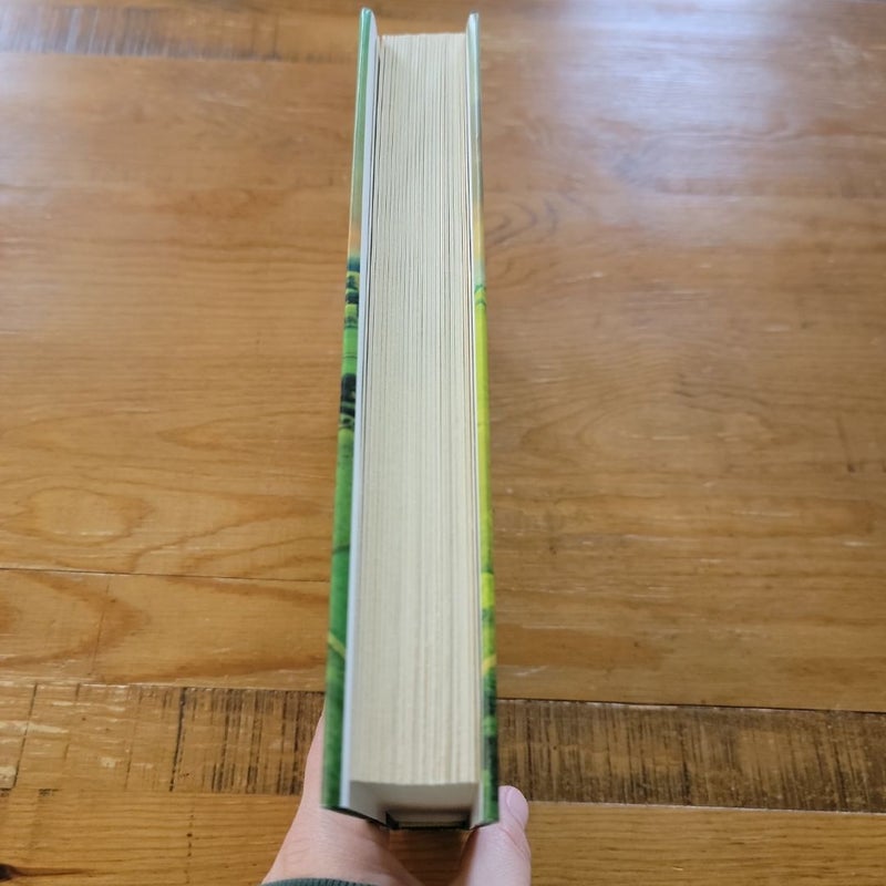 The Secret Book of Flora Lea: A Novel