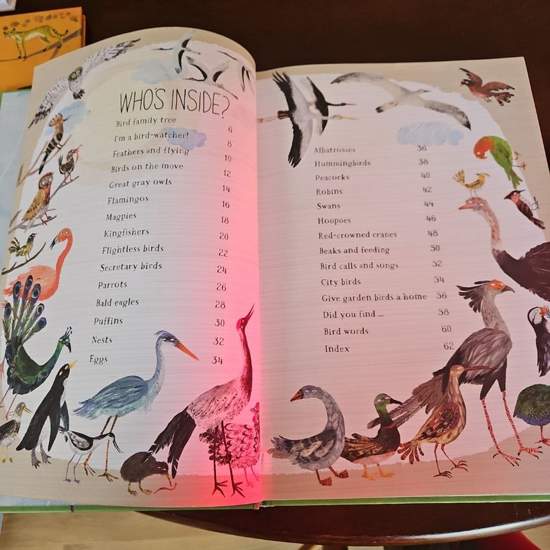 The Big Book of Birds