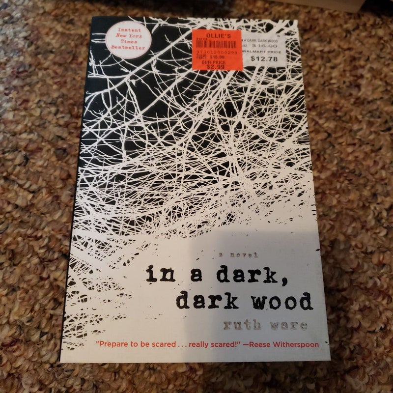 In a Dark, Dark Wood