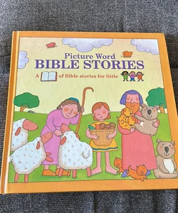 Picture Word Bible Stories