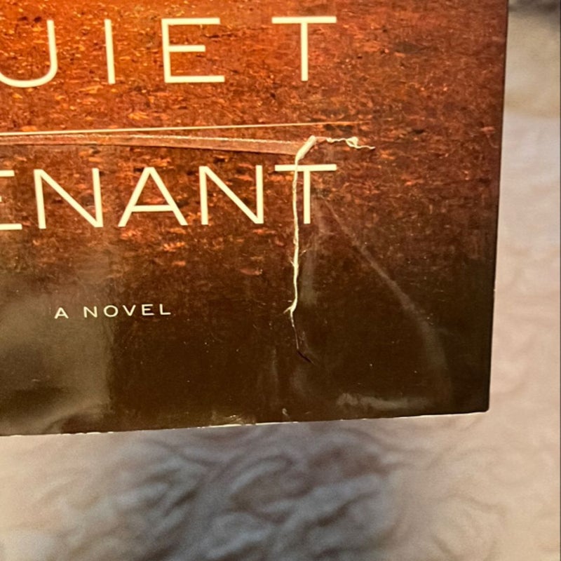 The Quiet Tenant