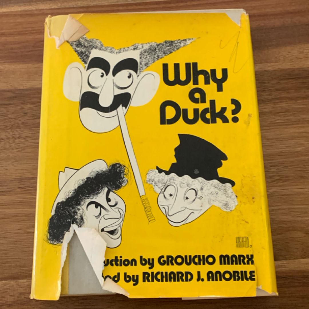 Why a Duck?