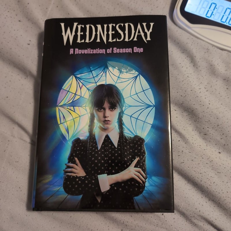 Wednesday: a Novelization of Season One