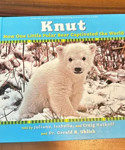 Knut