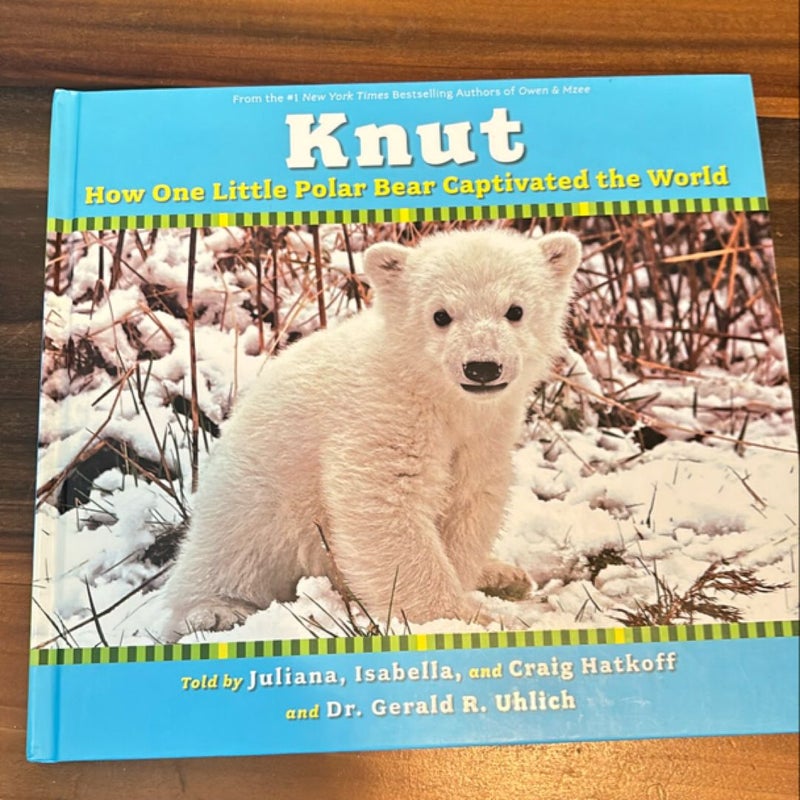 Knut