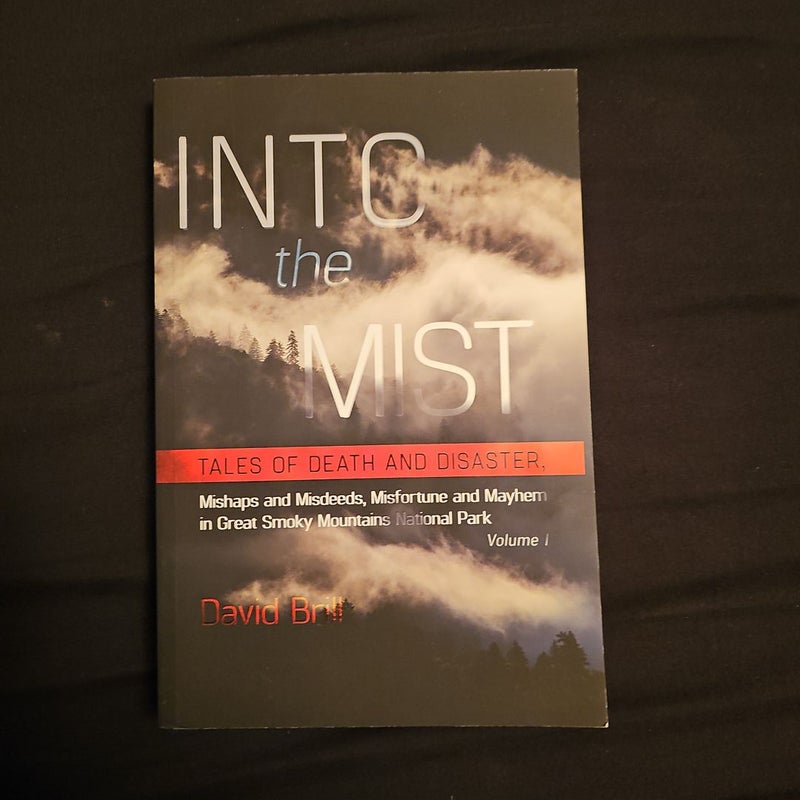 Into the Mist Volume 1