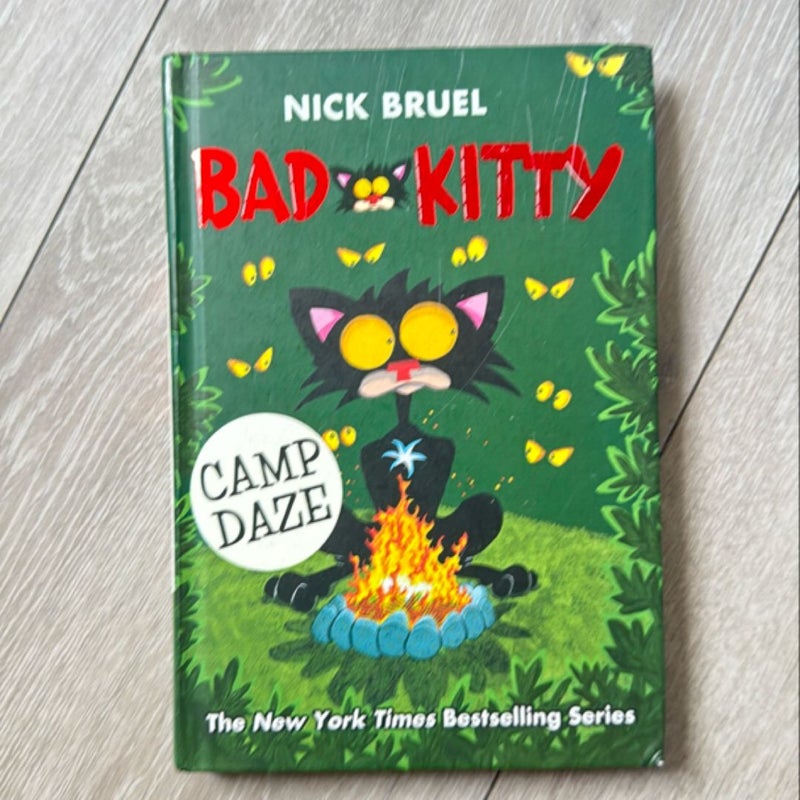 BUNDLE Bad Kitty Goes to the Vet and Bad kitty Camp Daze hard cover 