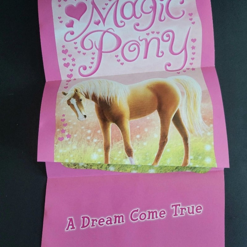 MAGIC PUPPY PONY BUNNY KITTEN VINTAGE LOT SCHOLASTIC BOOKS SUE BENTLEY WITH POSTER
