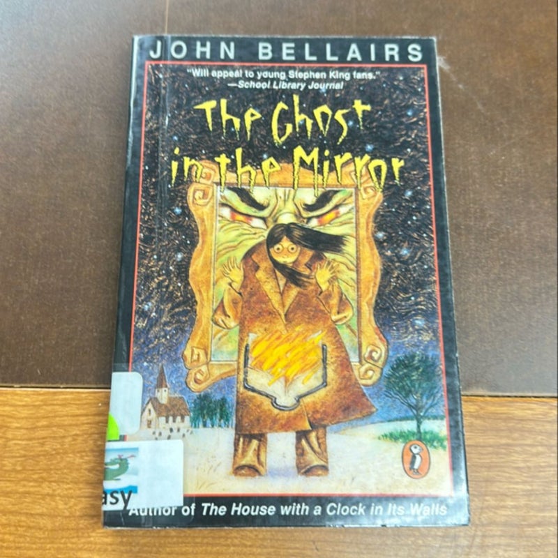 The Ghost in the Mirror