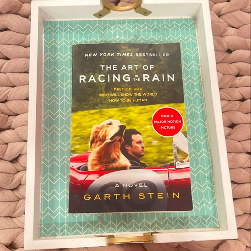 The Art of Racing in the Rain Tie-In