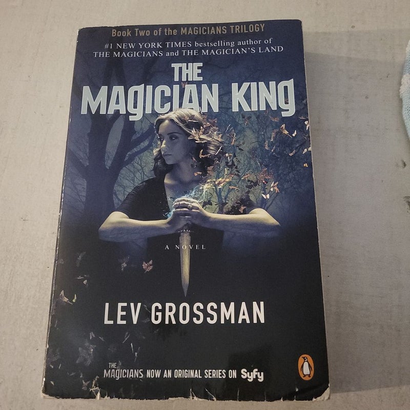 The Magician King (TV Tie-In)