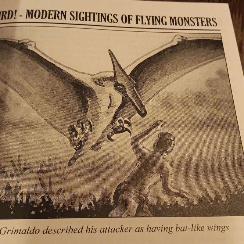 Big Bird Modern Sightings of Flying Monsters