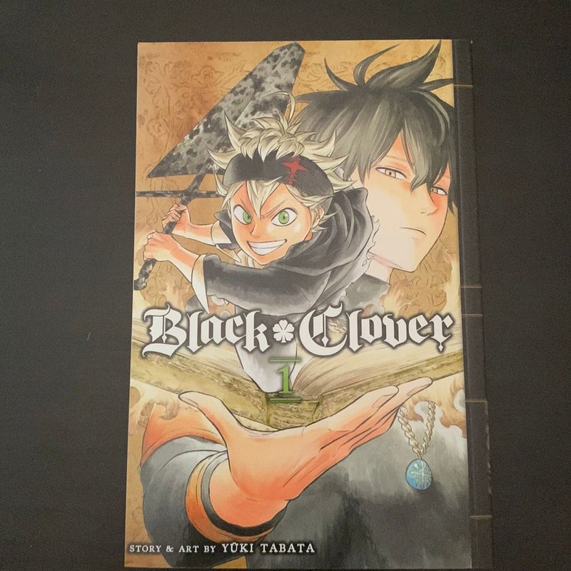 Black Clover, Vol. 1