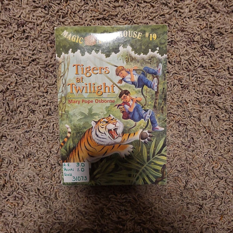 Tigers at Twilight