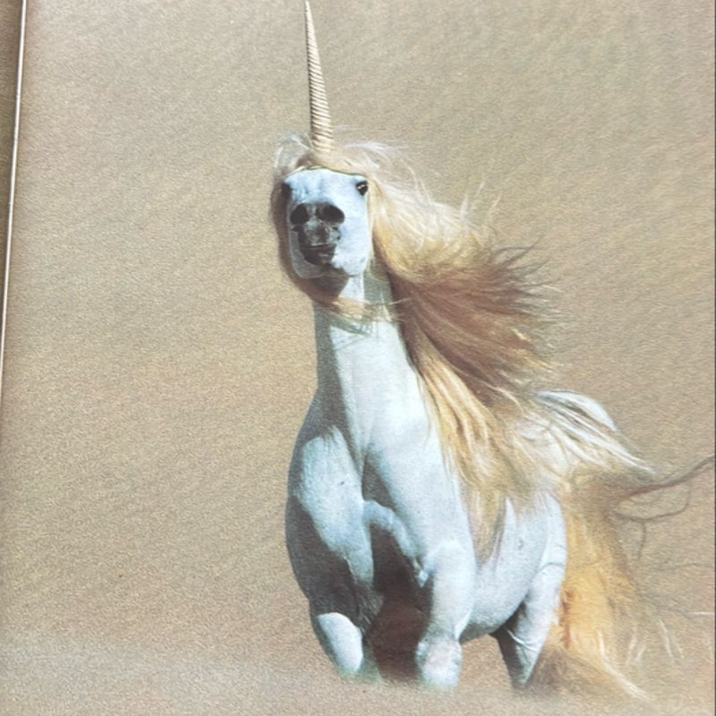 Unicorns I Have Known