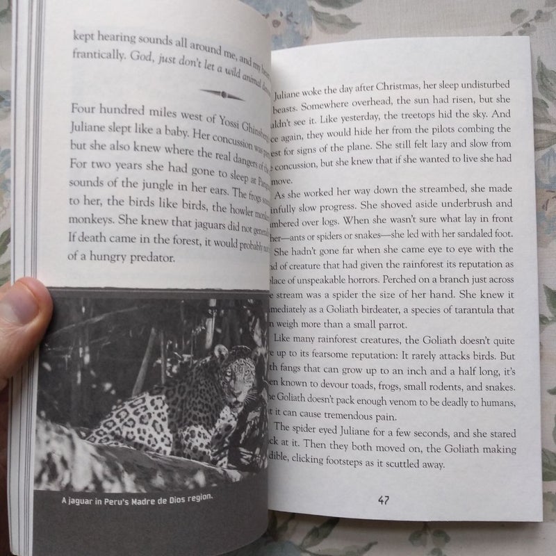 Lost in the Amazon (Lost #3)