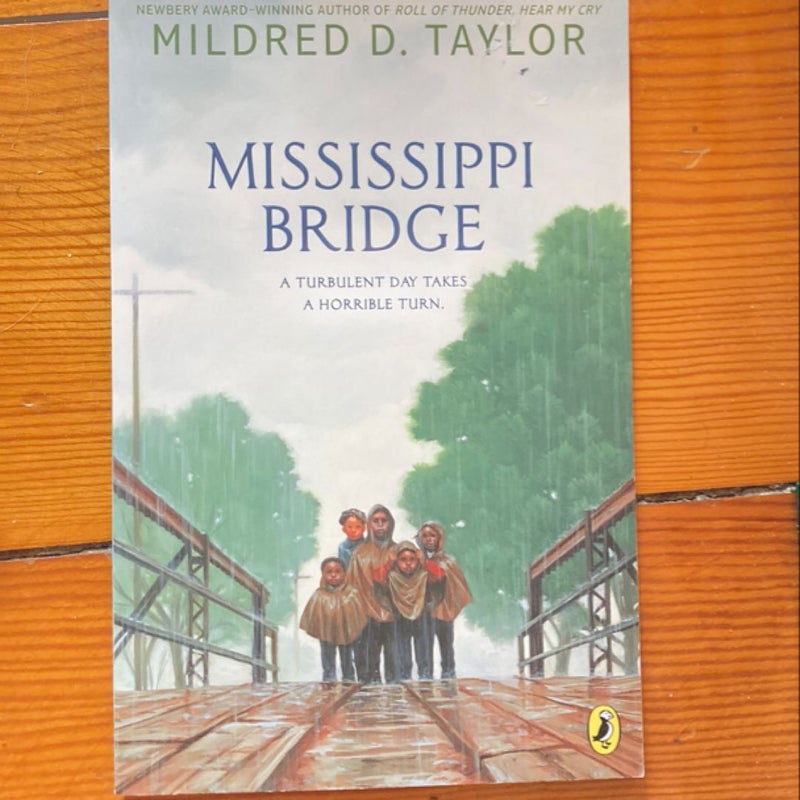 Mississippi Bridge