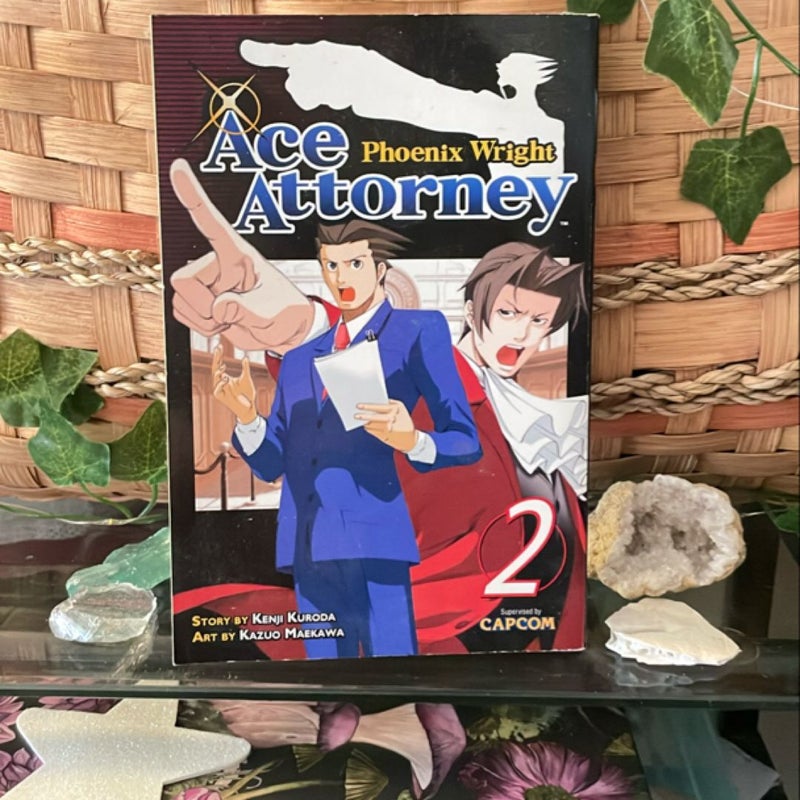 Phoenix Wright: Ace Attorney 2