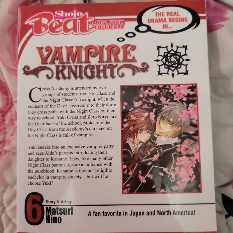 Vampire Knight, Vol. 6