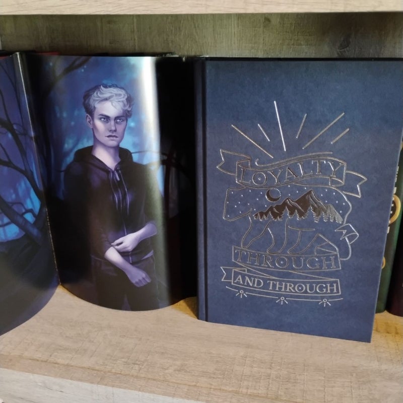 The Luminaries (OwlCrate)