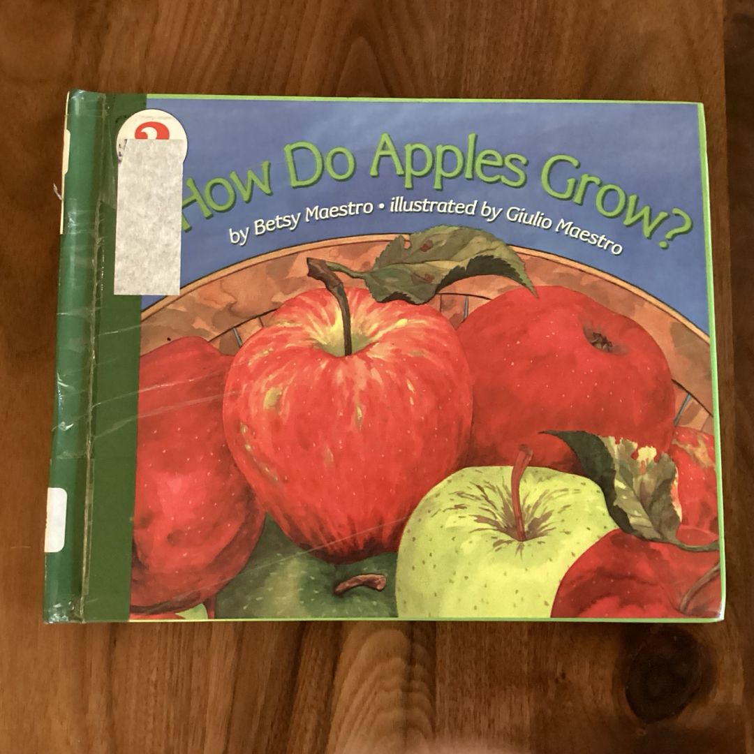 How Do Apples Grow?