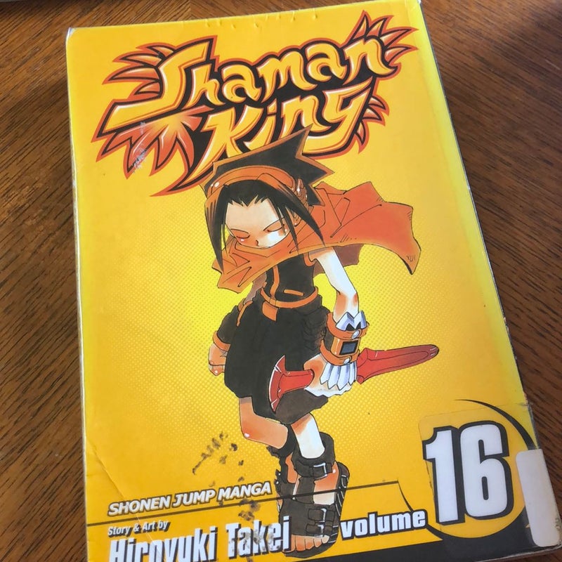 Shaman King, Volumes 14-16, 21-32