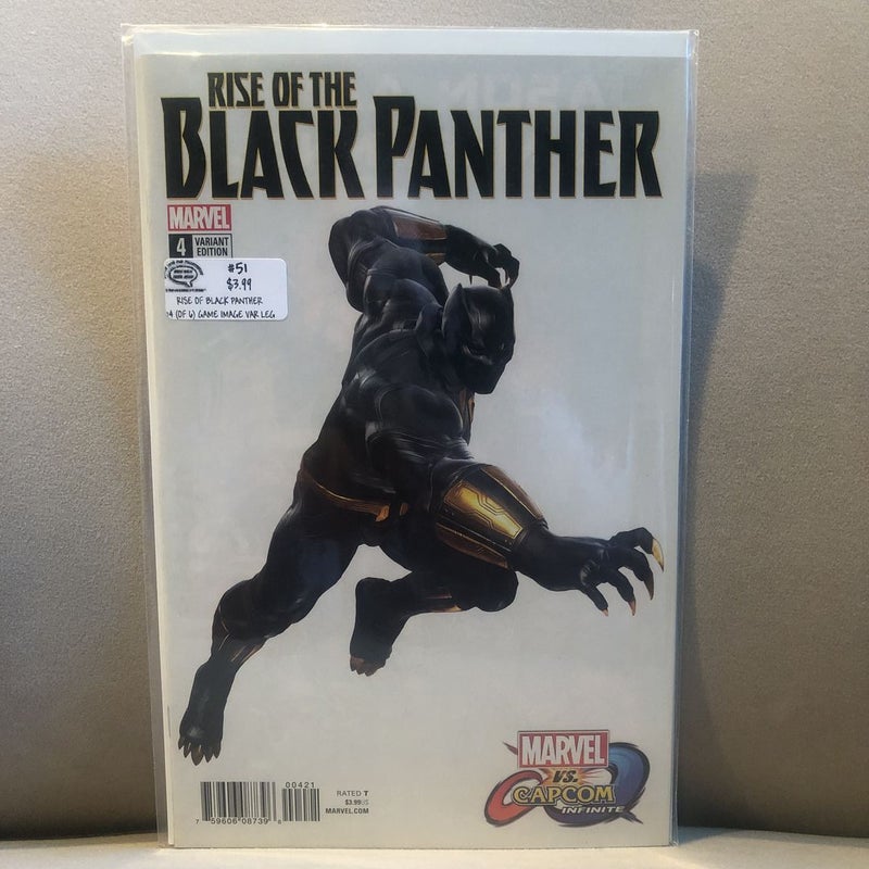 Rise of the Black Panther 