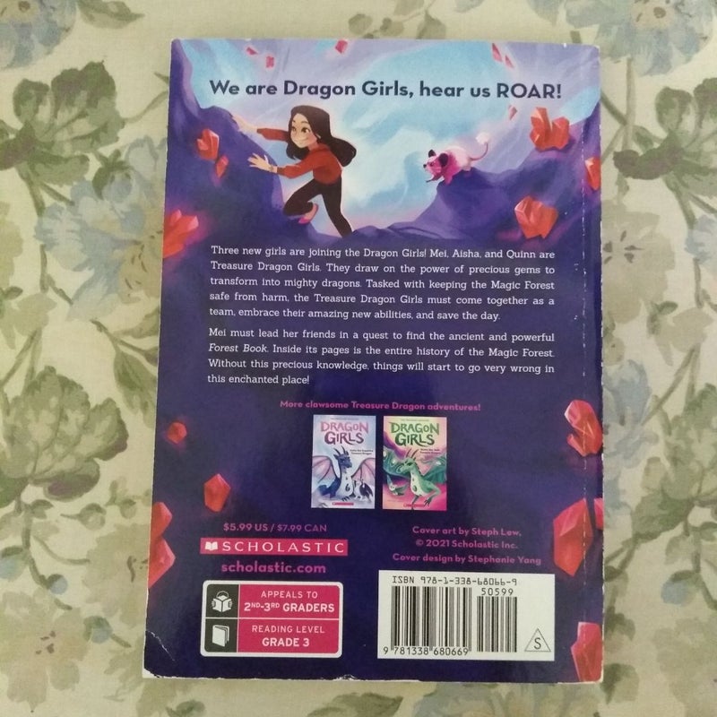 Mei the Ruby Treasure Dragon (Dragon Girls #4)