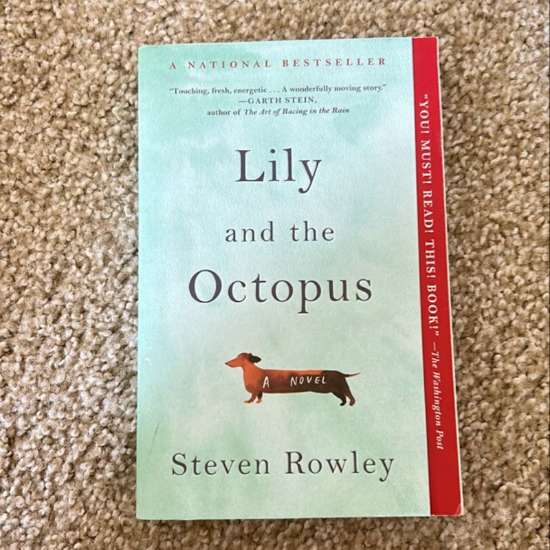 Lily and the Octopus