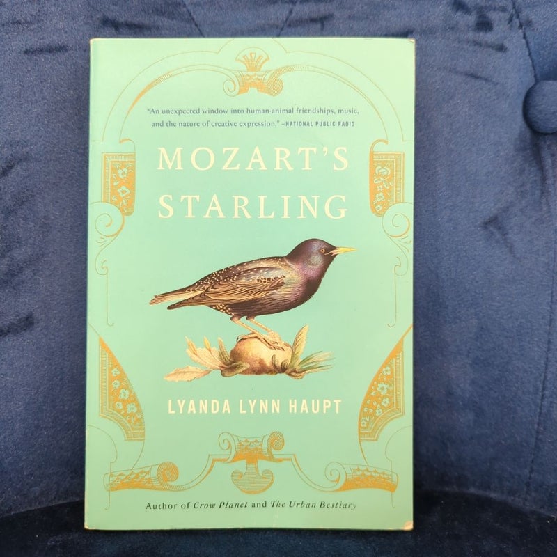 Mozart's Starling