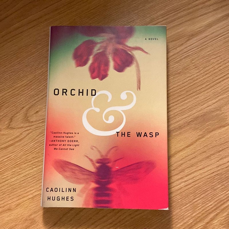 Orchid and the Wasp