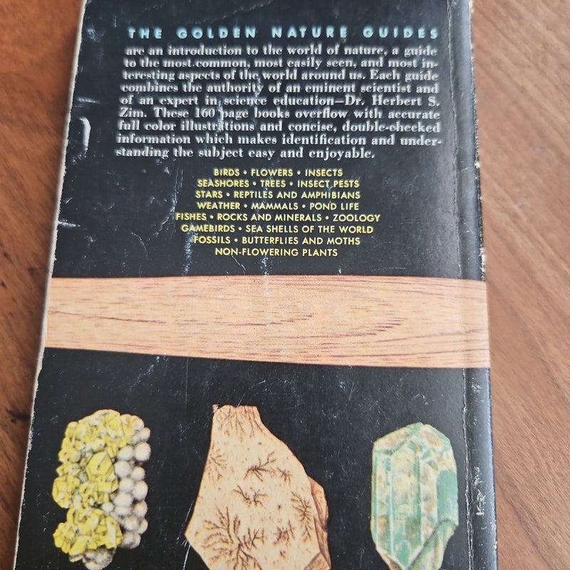 Rocks and Minerals