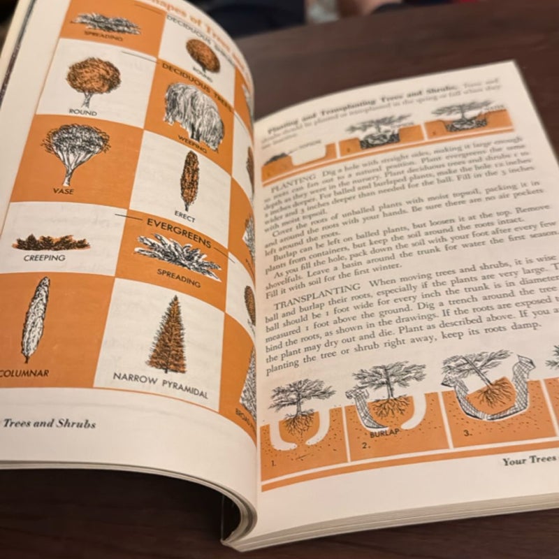 The Golden Garden Guide