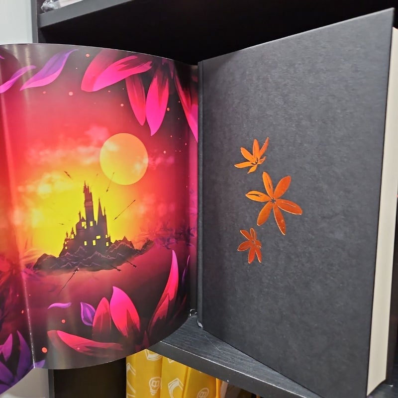 Defy the Night (The Bookish Box Exclusive Signed)
