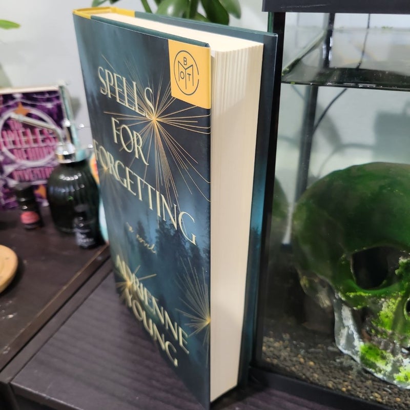 Spells for Forgetting