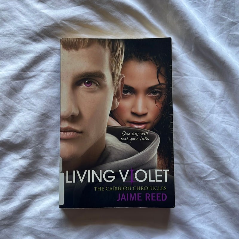 Living Violet