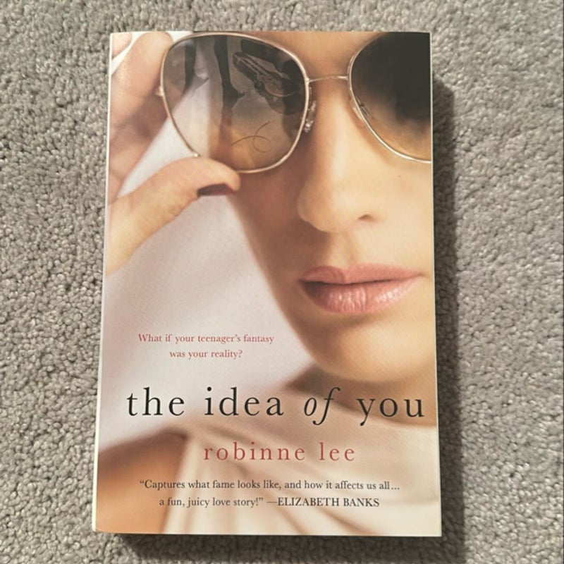 The Idea of You