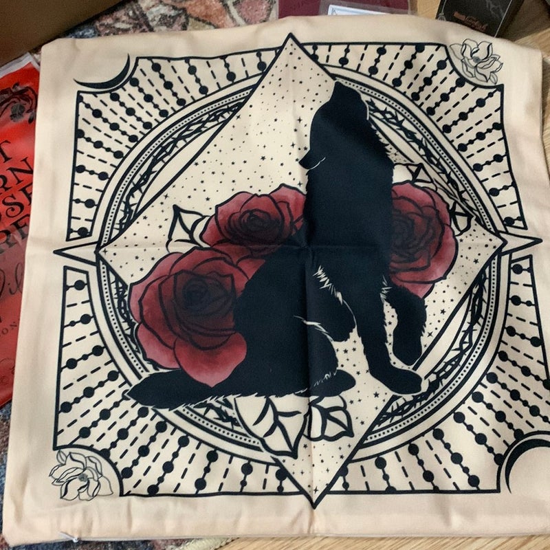 A court of thorns and roses pillowcase