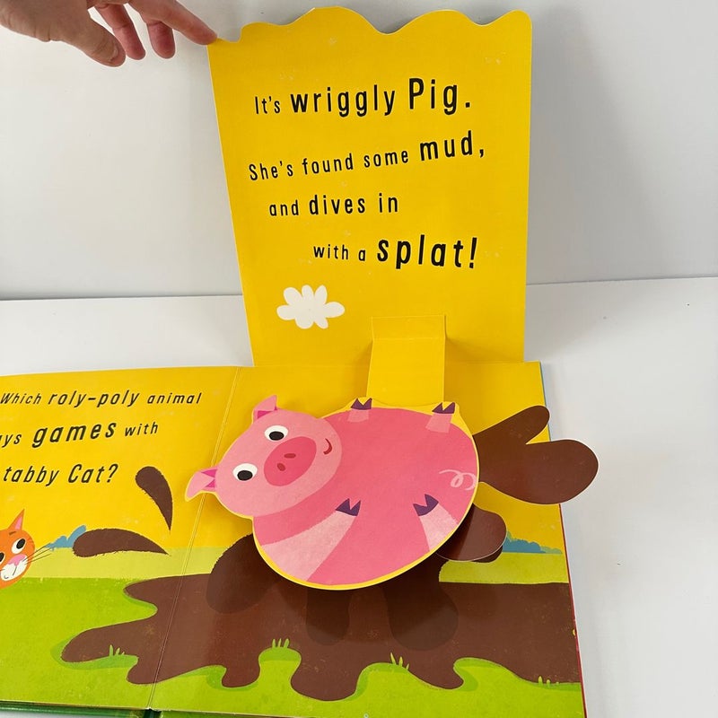 Little Snappers Cheep Cheep Pop-Up Fun