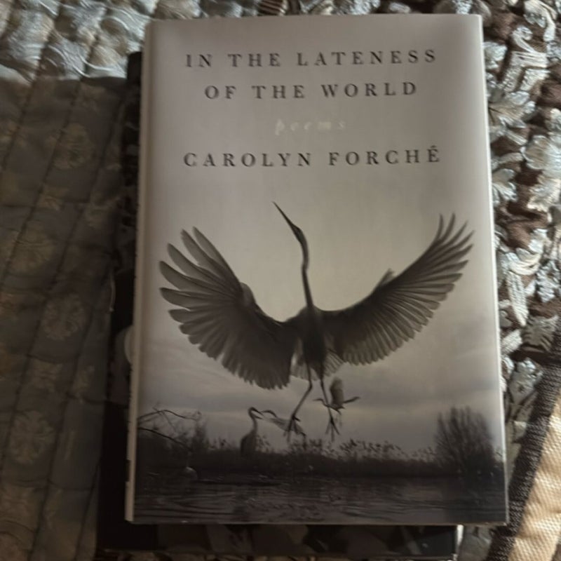 In the Lateness of the World