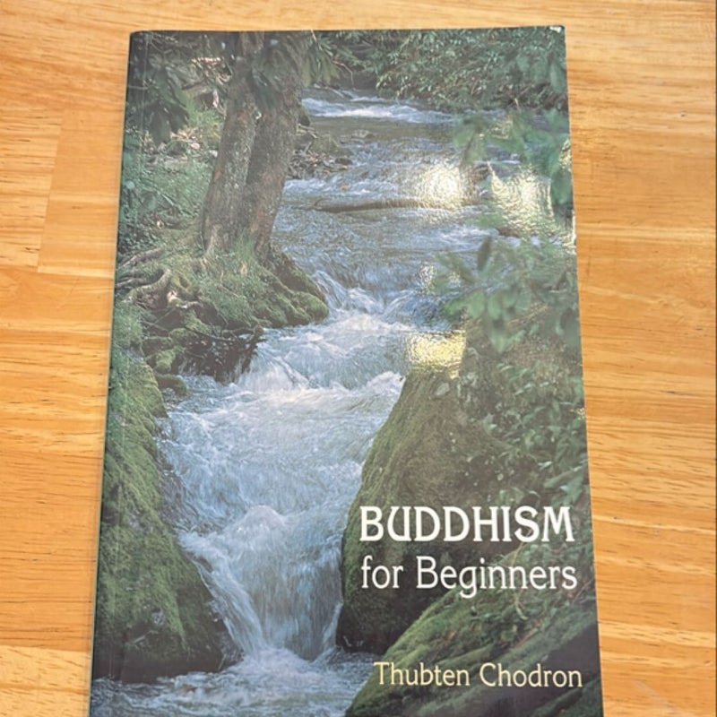 Buddhism for Beginners