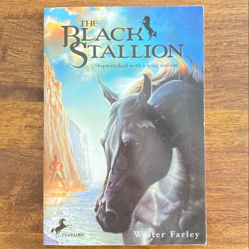 The Black Stallion