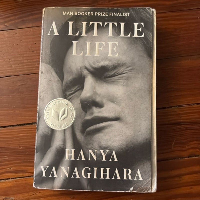 A Little Life