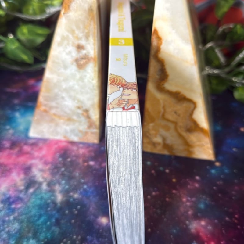 Megumi and Tsugumi, Vol. 3